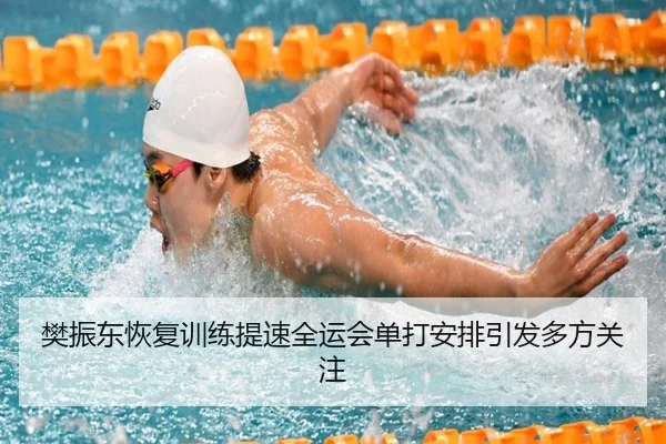 樊振东恢复训练提速全运会单打安排引发多方关注（HBSPORTS）